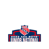 Volleyball Aau Sticker by aausports