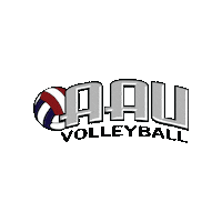 Volleyball Volley Sticker by aausports