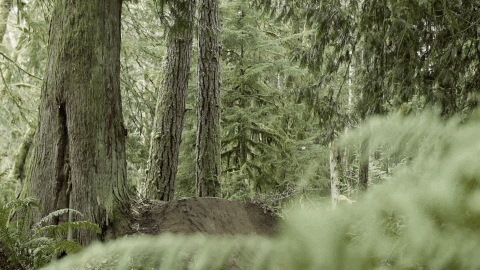 builder GIF by EchoBoom Sports