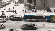 PierreLucDaoust  GIF