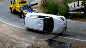 world's funniest fails GIF by Fox TV