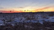 montana GIF