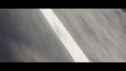 montana GIF