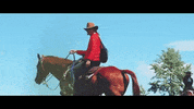 montana GIF