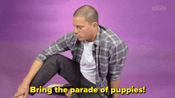 Bring The Parade Of Puppies 