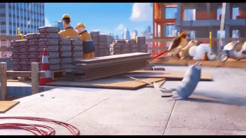 Animated GIF