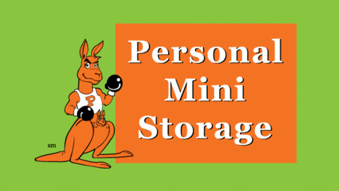 personalministorage giphyupload storage pms persy GIF