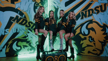 Volleyball Bison GIF by NDSU Athletics
