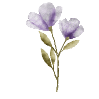 Kerstinsstudio illustration flower beautiful romantic Sticker