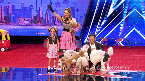 summer love GIF by America's Got Talent