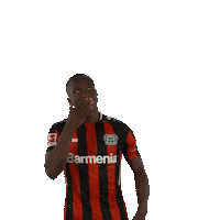 I Love You Smile Sticker by Bayer 04 Leverkusen