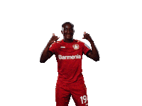 Bayer 04 Win Sticker by Bayer 04 Leverkusen