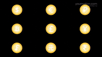 Animated Currency Coin Symbols | Video |You Motion
