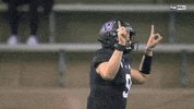 Bow Down Purple Reign GIF by Washington Athletics