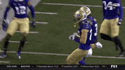 Purple Reign Huskies GIF by Washington Athletics