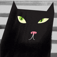 Cat What GIF by Libby VanderPloeg