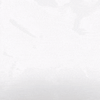 Celebration Hockey GIF by Eisbären Berlin