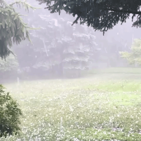Hail Falls in Northern New Jersey Amid Severe Thunderstorm Warnings