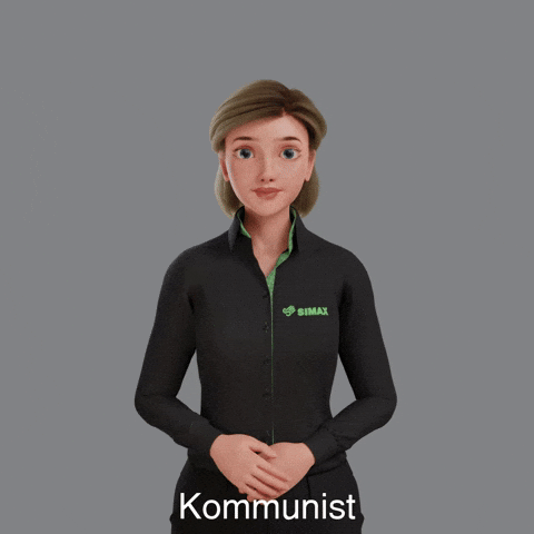 Avatar Gebärdensprache GIF by Sign Time - SiMAX