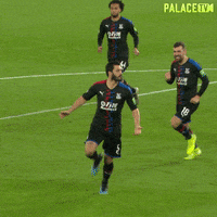 Premier League Sport GIF by CPFC