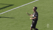 louis schaub celebration GIF by 1. FC Köln