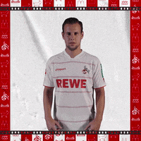 1 Fc Cologne Football GIF by 1. FC Köln