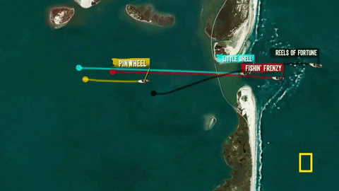 wicked tuna GIF by National Geographic Channel