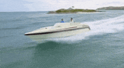 mark burnett fun GIF by Coupled 