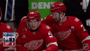 Happy National Hockey League GIF by NHL
