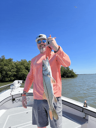 adamstrobel0 giphygifmaker giphyattribution GIF