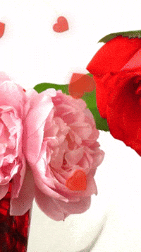 Happy In Love GIF