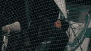 Fan GIF by SK Sturm Graz
