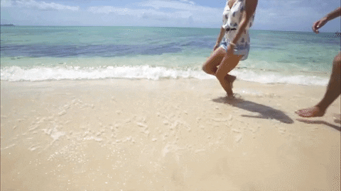 dance love GIF by Celebrity Cruises Gifs