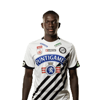 Bundesliga Swipe Up Sticker by SK Sturm Graz