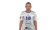 Sport Handball Sticker by LIQUI MOLY HBL