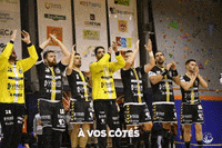 PouzaugesVendeeHandball handball pouzauges pvhb GIF
