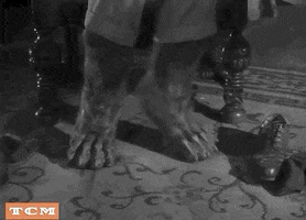 Horror Film Halloween GIF by Turner Classic Movies