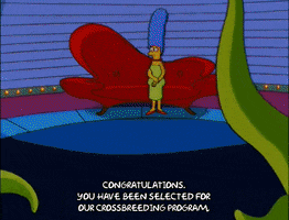 episode 4 Kang GIF