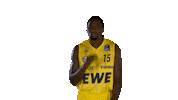 Ewe Baskets Sport Sticker by EWE Baskets Oldenburg
