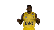 Ewe Baskets Basketball Sticker by EWE Baskets Oldenburg