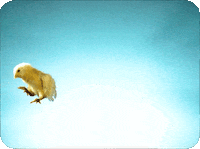 Gaslighter GIF by Dixie Chicks