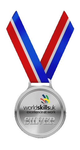 Silver Medal Win Sticker by WorldSkills UK