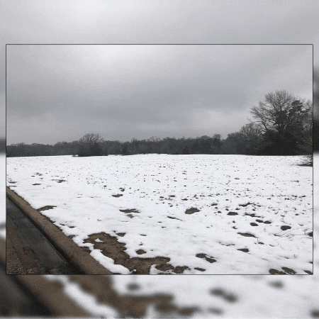 corycarnleygainesville giphygifmaker giphyattribution GIF