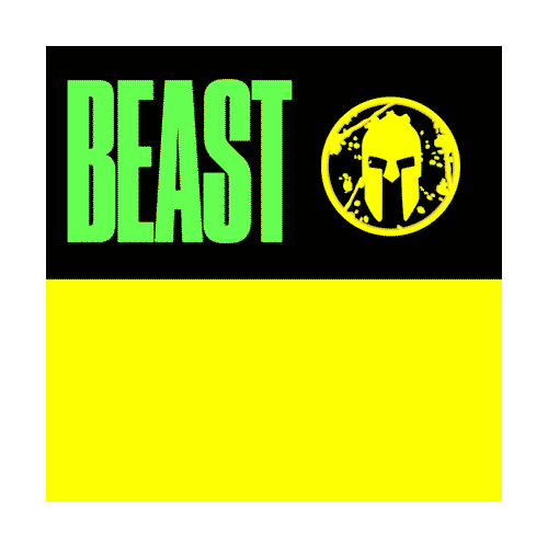 Virtualrace Sticker by Spartan Race