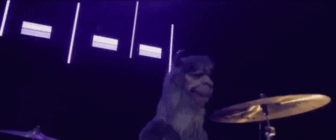 drums llama GIF by Fall Out Boy