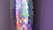 GIF by Walter Wlodarczyk
