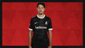 Sc Freiburg Football GIF by Bundesliga