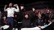 Sport Mma GIF by UFC