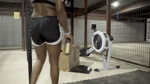 AlyssaMakes giphygifmaker hallease halleasebeast GIF