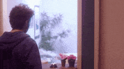 season 1 joey GIF by Dream Corp LLC